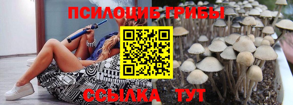 Псилоцибиновые грибы Cubensis Узловая